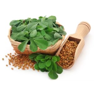 4-Hydroxyisoleucine (4-HIL)