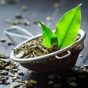 Green Tea Extract