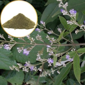 Vitex Negundo Extract