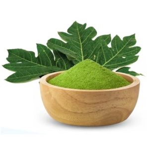 Papaya Leaf Extract
